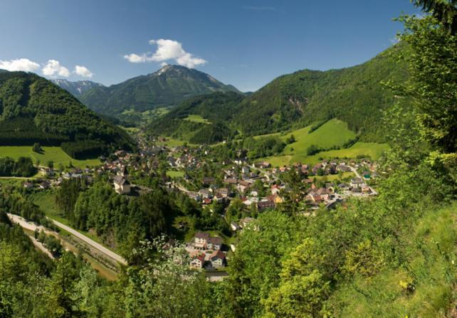 Ferienhof Schelchen Hollenstein an der Ybbs Exteriér fotografie