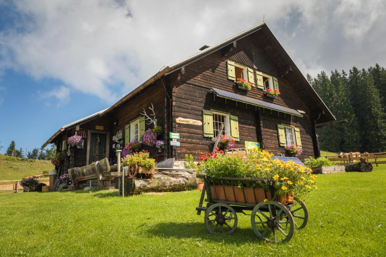 Ferienhof Schelchen Hollenstein an der Ybbs Exteriér fotografie